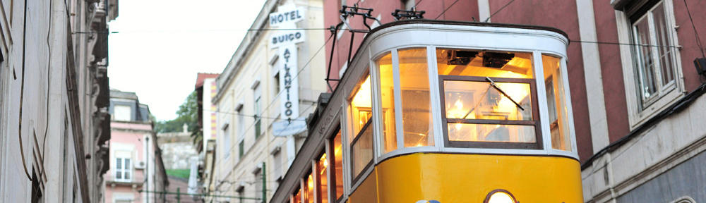 Dra. Nefi Darmayanti, MSi.